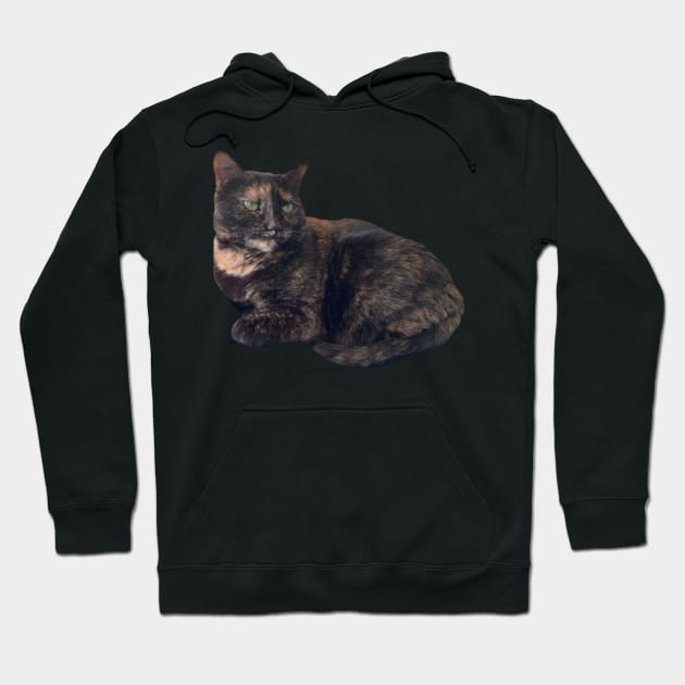 Tortie Cat Hoodie by Amanda1775